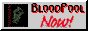 BourbonStreet_Delta_2081_bloodnow