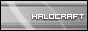 TimesSquare_Bridge_4487_links_halocraft