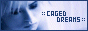 de.geocities.com_caged_dreams_tcg_Yuri_01