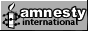 terimkel3_amnesty_small_banner