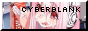 cyberblank