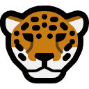 jaguar.png