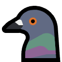 pigeon.png