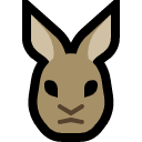 rabbit.png