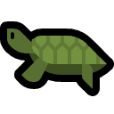 turtle.png