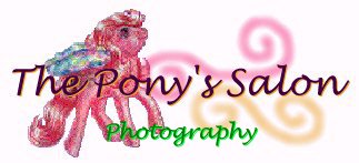 The Pony's Salon: Photography