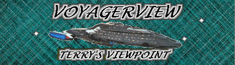 Voyagerview_Terry's_View_Point