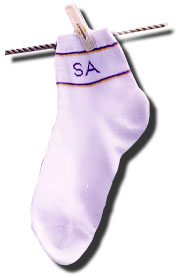 the official sri amanian school sock!