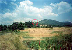 The location of the site