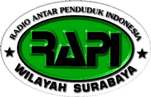 logo RAPI