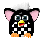 FurbyIconRacing2.gif (2931 bytes)