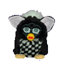 FurbyRace.gif (5981 bytes)