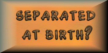 SepBirthHeader.gif (39008 bytes)