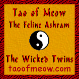 Tao of Meow logo graphic!