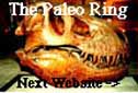 The Paleo Ring's NextWebsite