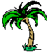 palmtree