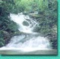 waterfall2.jpg (13270 bytes)