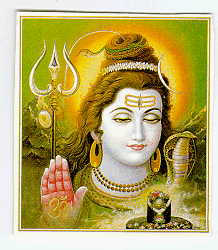 Shiva