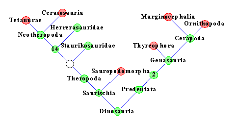 Less detailed Cladogram