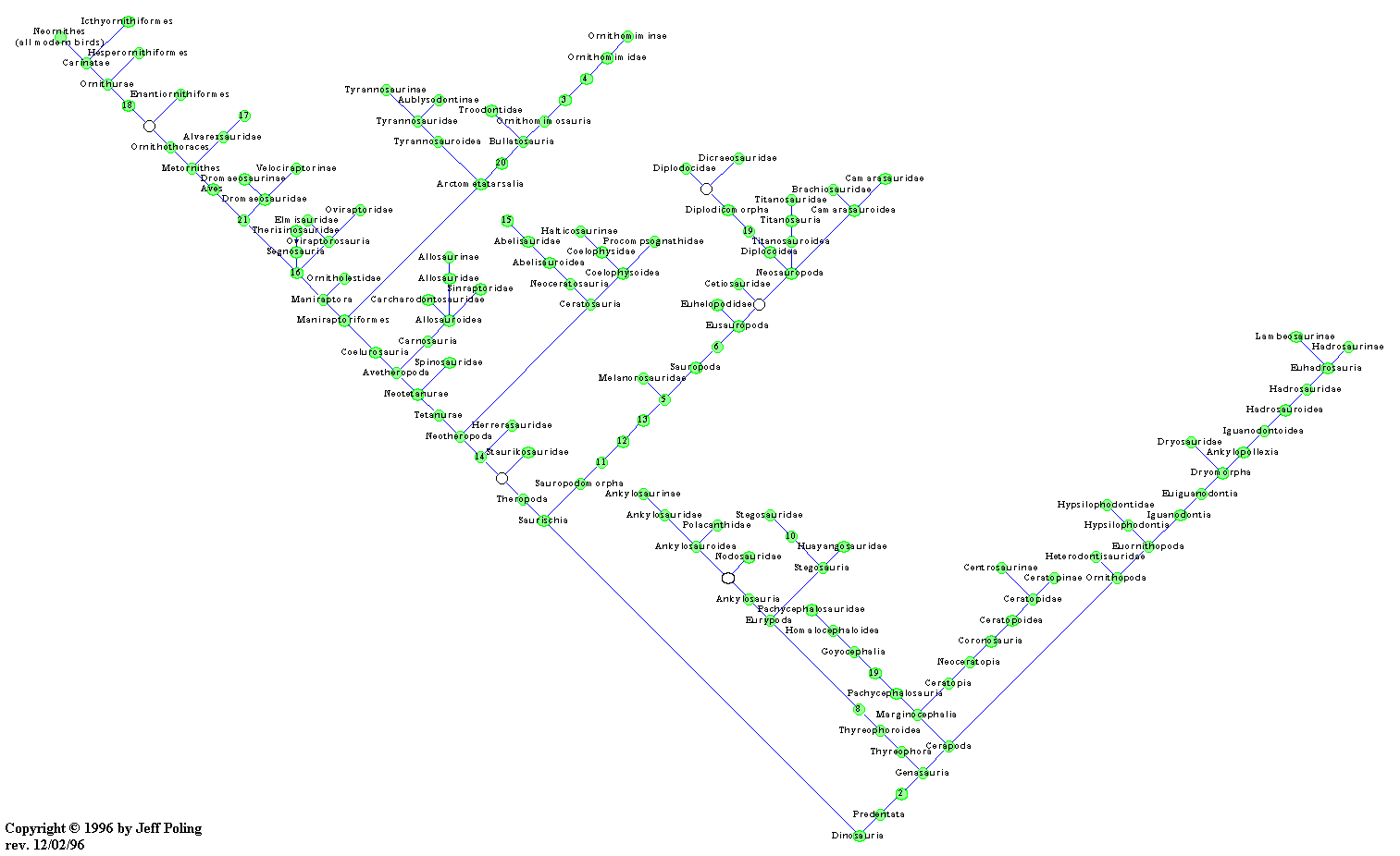 More detailed Cladogram