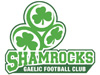 Logo 2008-present