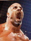 goldberg