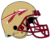 FSUHelmet