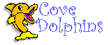 Cove Dolphins Award