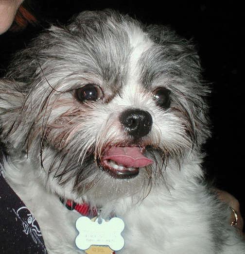 Albert at Atlantic Beach June 15, 2002