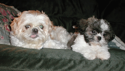 Frances & Albert on the Couch