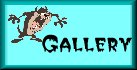 Gallery button