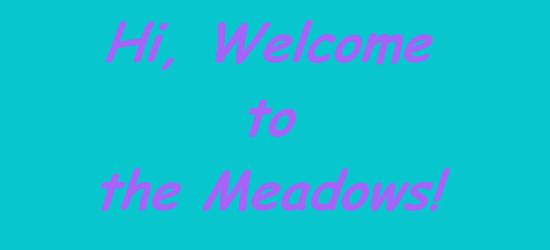 Welcome!