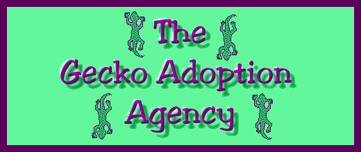 The Gecko Adoption Agency