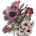 5143flower2.gif (15830 bytes)