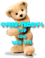 Cyber-Teddy Award