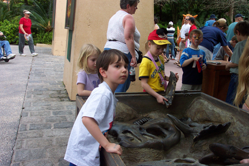 ian at animal kingdom learning about fossils