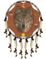 shield with wolf head