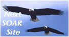 Eagle Pair