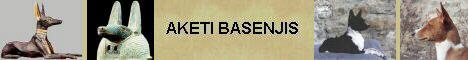 The Basenji is one of the oldest known dog breeds. This site has been temporarily disactivated.
