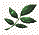 leaf2.gif - 1.4 K