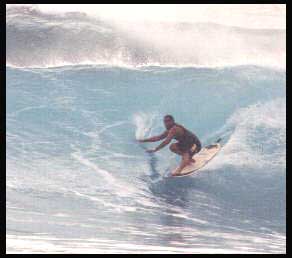 The Surfer's Bible Study.