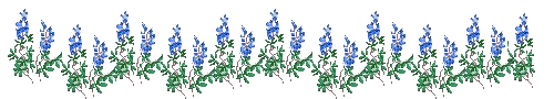 bluebonnet2.gif