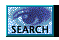 Search button