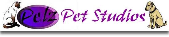 Pelz Pet Studios Header