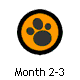 Month 2-3