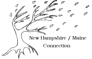 New Hampshire Maine Connection