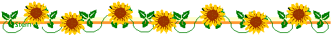 Sunflower Line 2