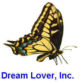 dreamloverinc.gif (15350 bytes)