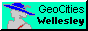 Wellesley Geocities Icon